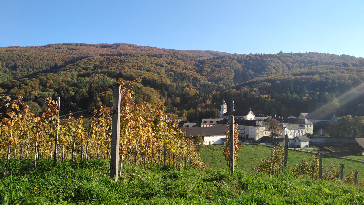 Unsere Winzer: Kartause Pleterje aus der Unterkrain (Dolenjska) in Slowenien